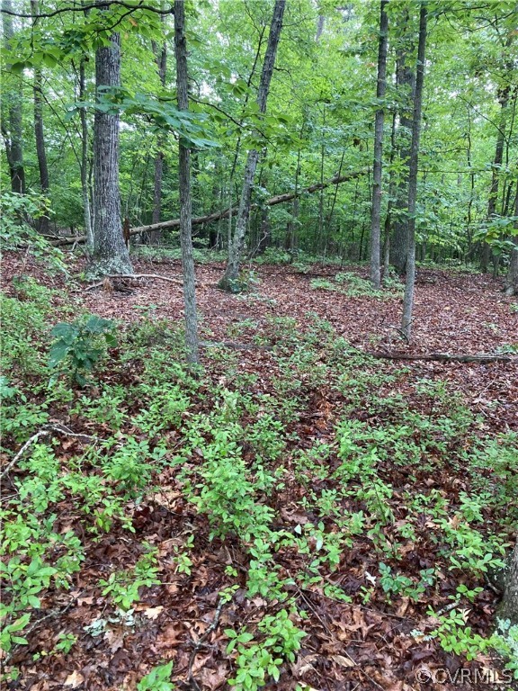 0 Blackwell Road Scottsville, VA 24590 - Photo 4 of 4 a view of outdoor space and trees