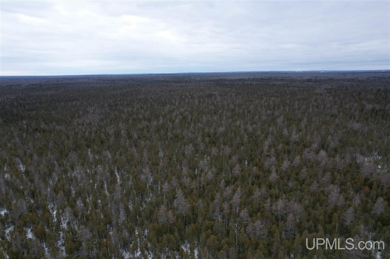 Tbd Pine Point Road Lake Linden, MI 49945 - Photo 3 of 9 Gallery Image 3