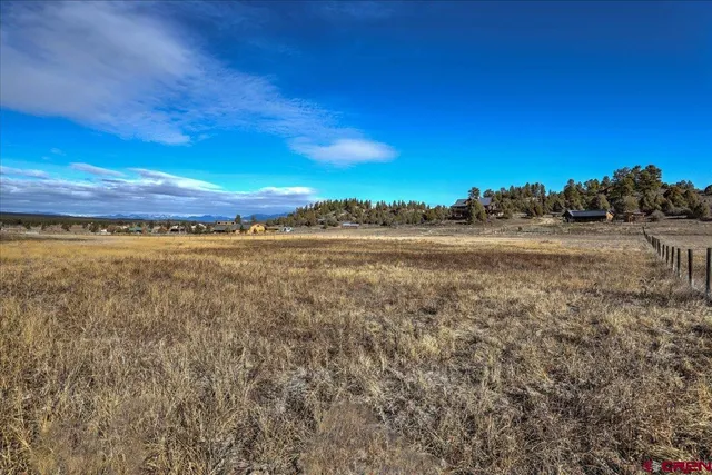 a view of a field with trees in the background