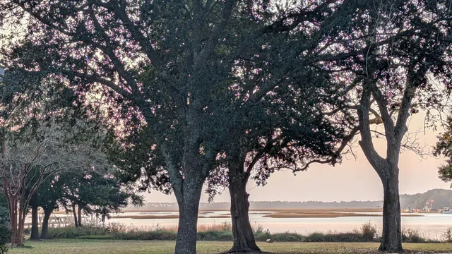 $759,000 | 1138 Cottage Road, Charleston, SC 29412