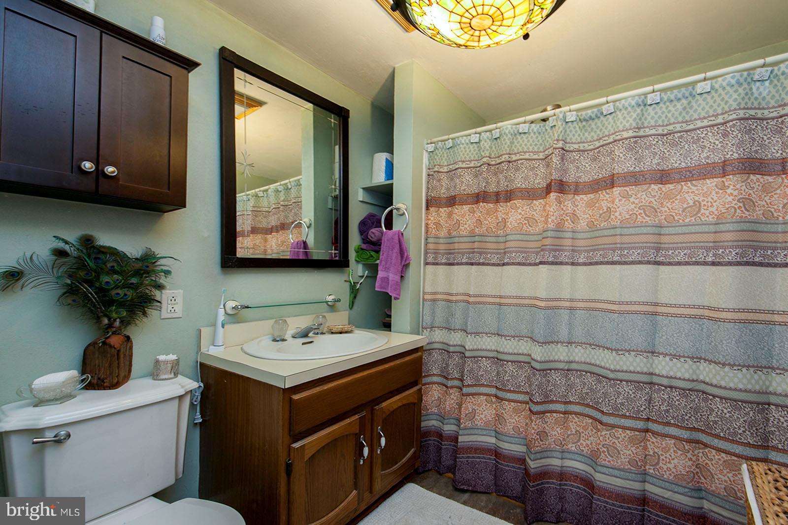 1205 Siler Road Winchester, VA 22603 - Photo 22 of 41 Main floor bath with tub/shower combo