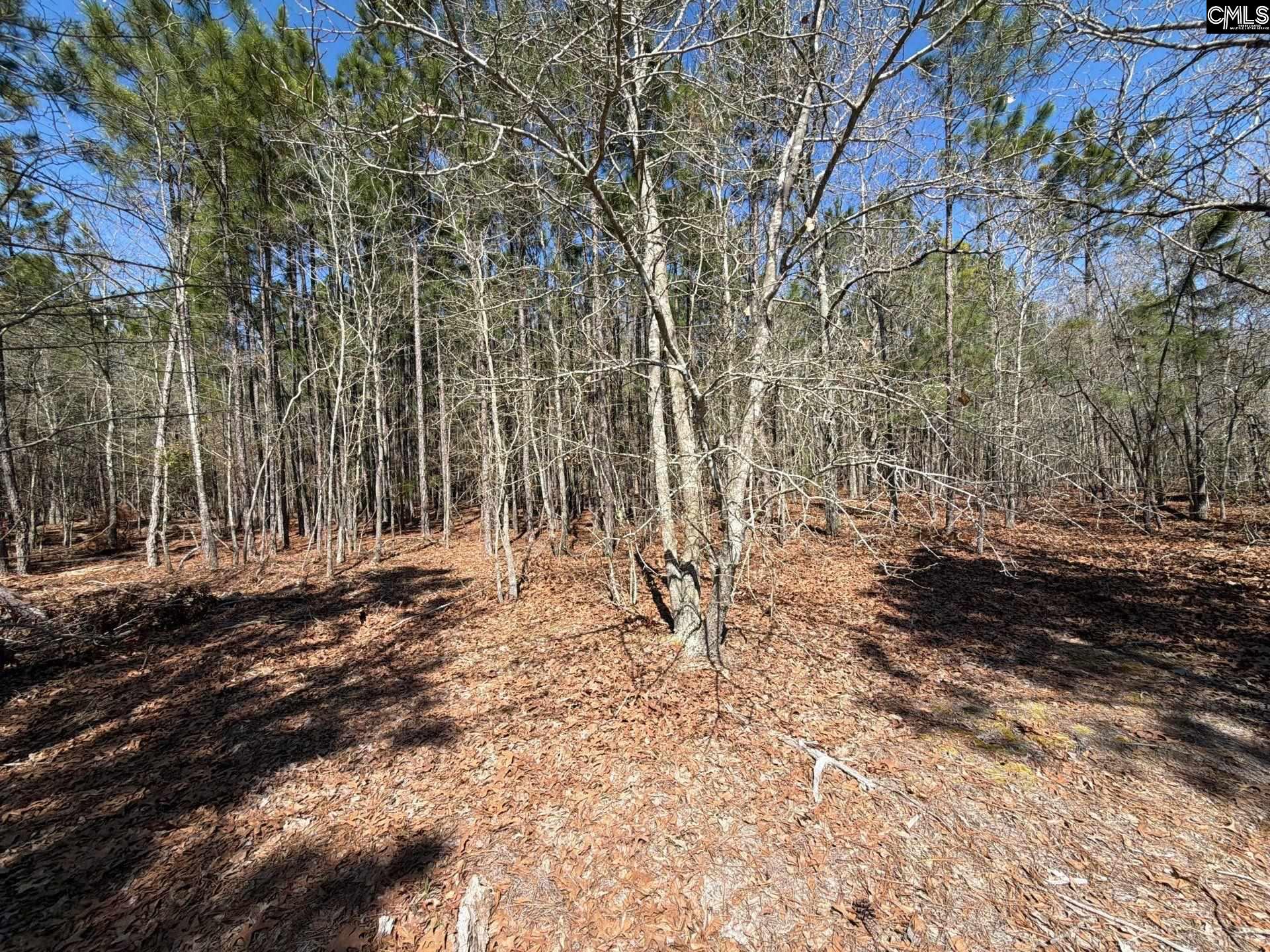12 Boise Cascade Road, Unit BHL 12 Bethune, SC 29009 - Photo 15 of 20