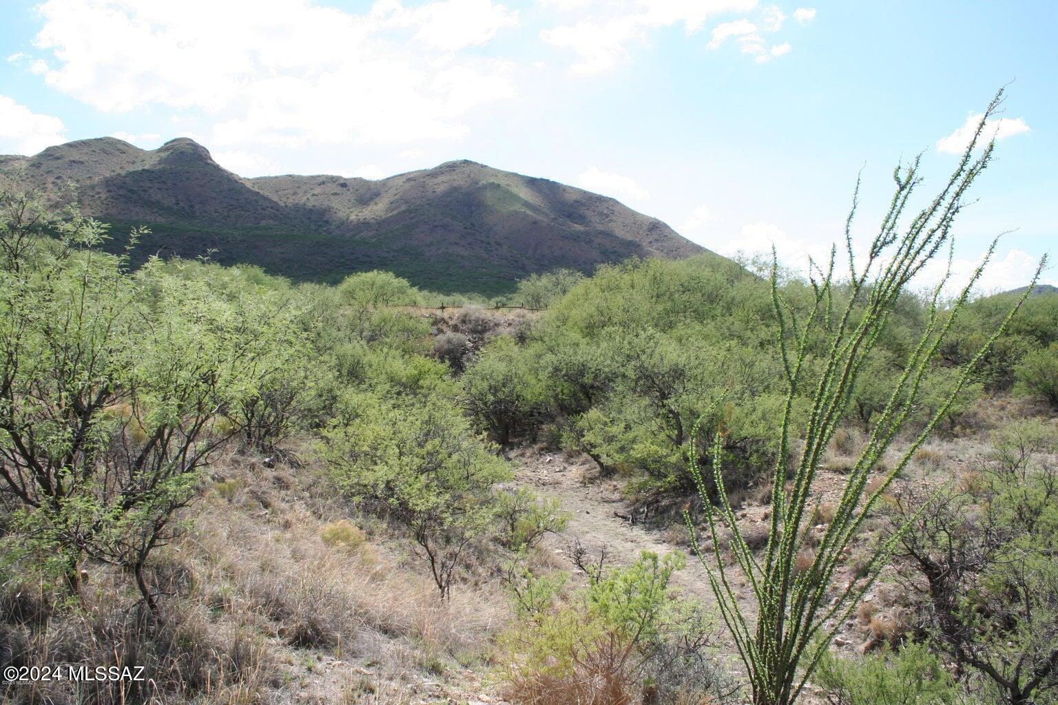 80 Morning Star Drive Rio Rico, AZ 85648 - Photo 22 of 30