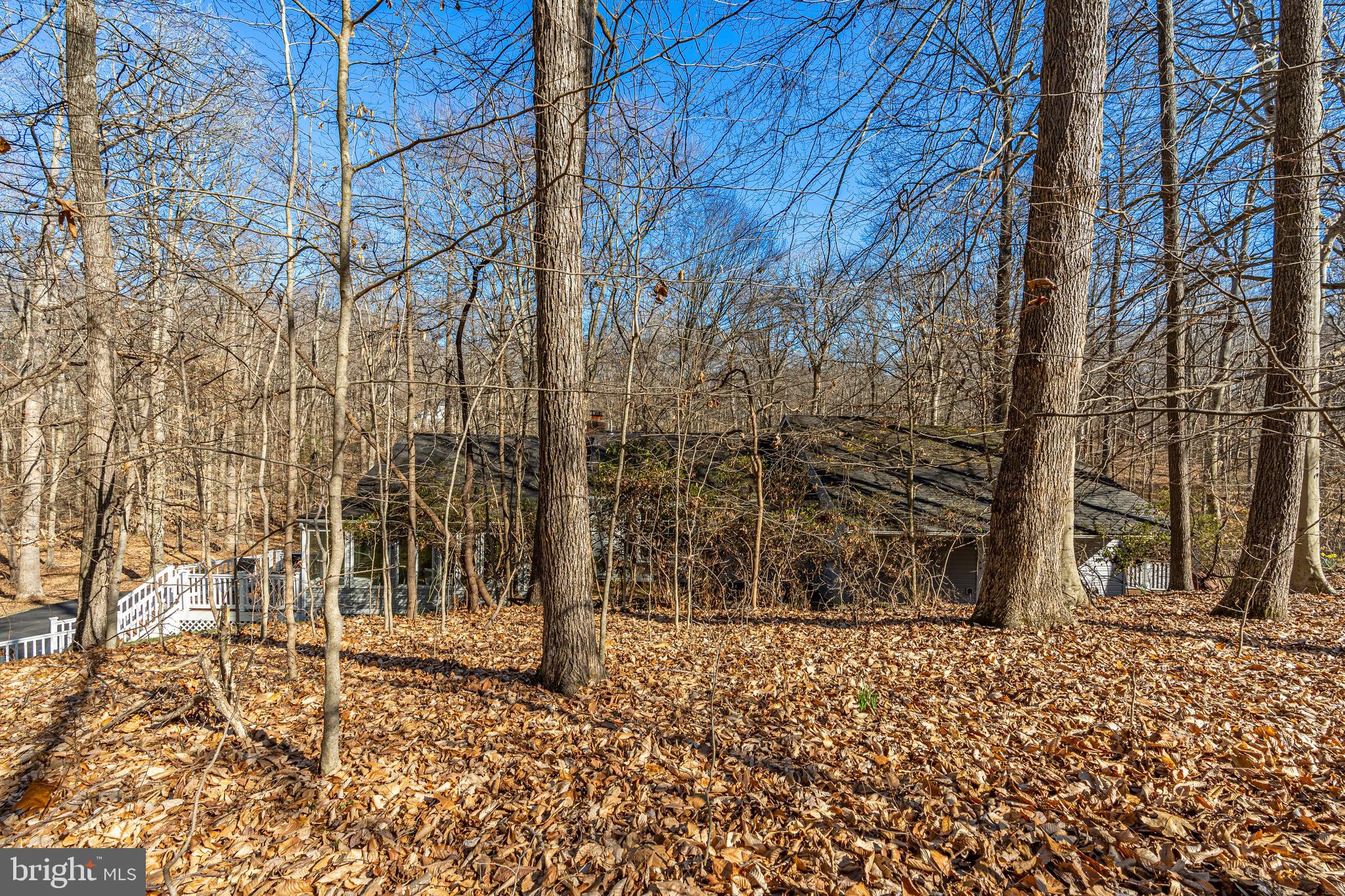 5412 Well Spring Road La Plata, MD 20646 - Photo 54 of 57 Gallery Image 54
