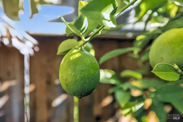 $670,000 | 2321 Channing Place, Fairfield, CA 94533