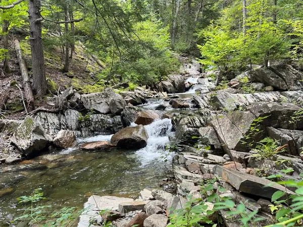 $1,350,000 | 440 Belfast Road, Unit NAAN C1, Camden, ME 04843