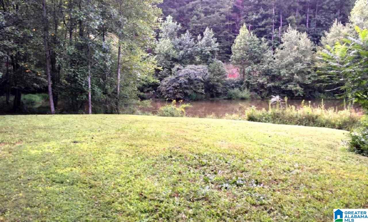 266 Lake David Road Lineville, AL 36266 - Photo 6 of 19