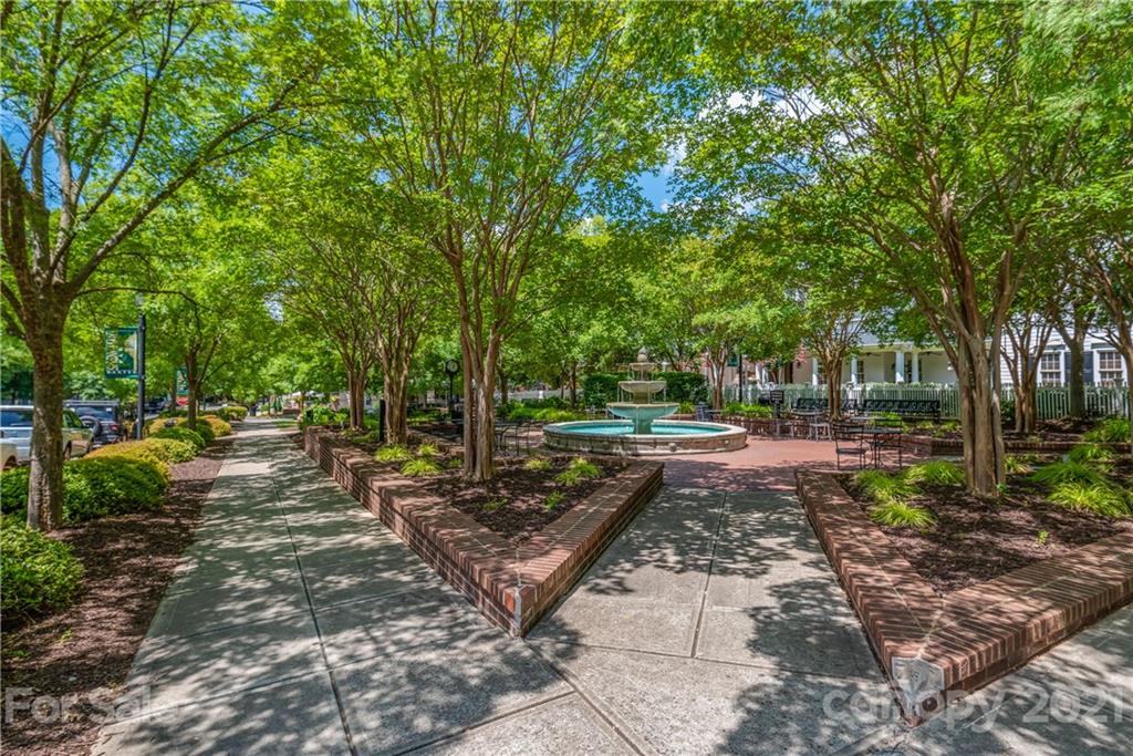 1131 Market Street Fort Mill, SC 29708 - Photo 25 of 27 a view of a park with large trees