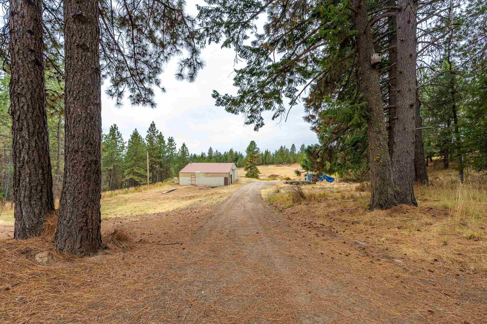 26320 North Jackson Road Chattaroy, WA 99003 - Photo 30 of 45