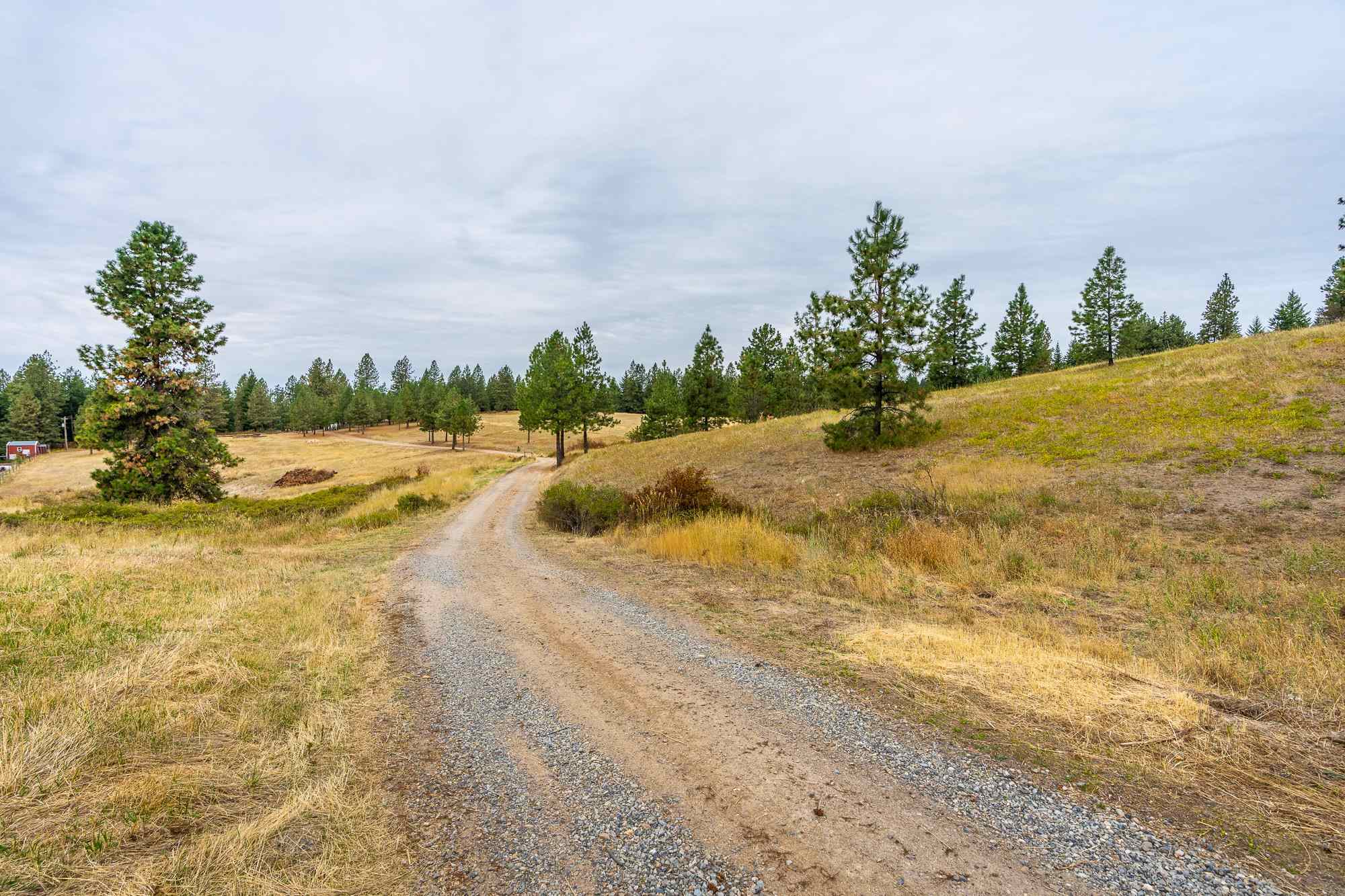 26320 North Jackson Road Chattaroy, WA 99003 - Photo 35 of 45