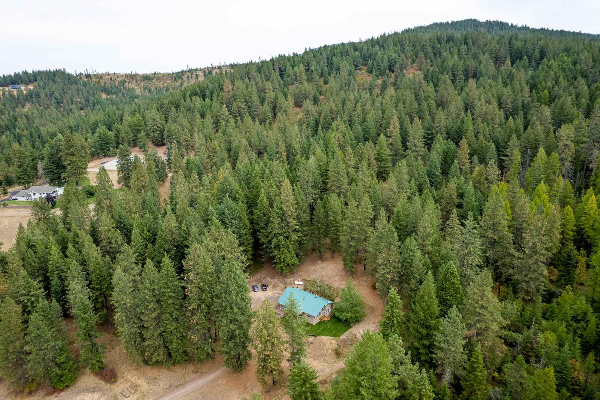 26320 North Jackson Road Chattaroy, WA 99003 - Photo 39 of 45