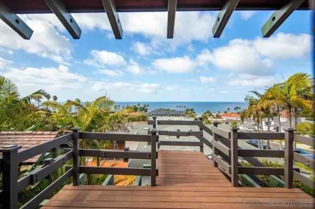 a view of a yard with a palm tree