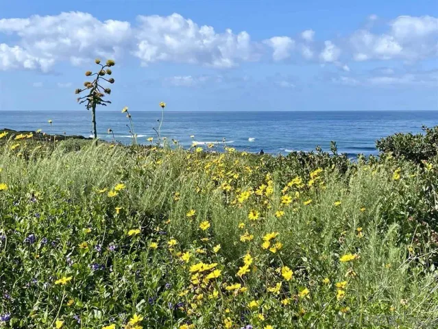 $3,250,000 | 936 Cornish Drive, San Diego, CA 92107