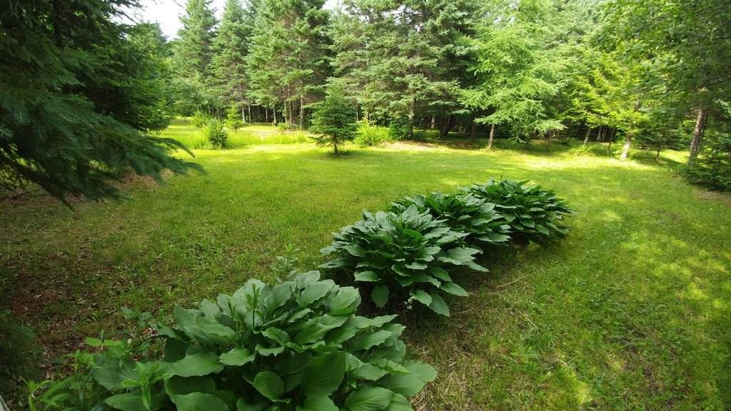 967 B Road Houlton, ME 04730 - Photo 33 of 34 Photo