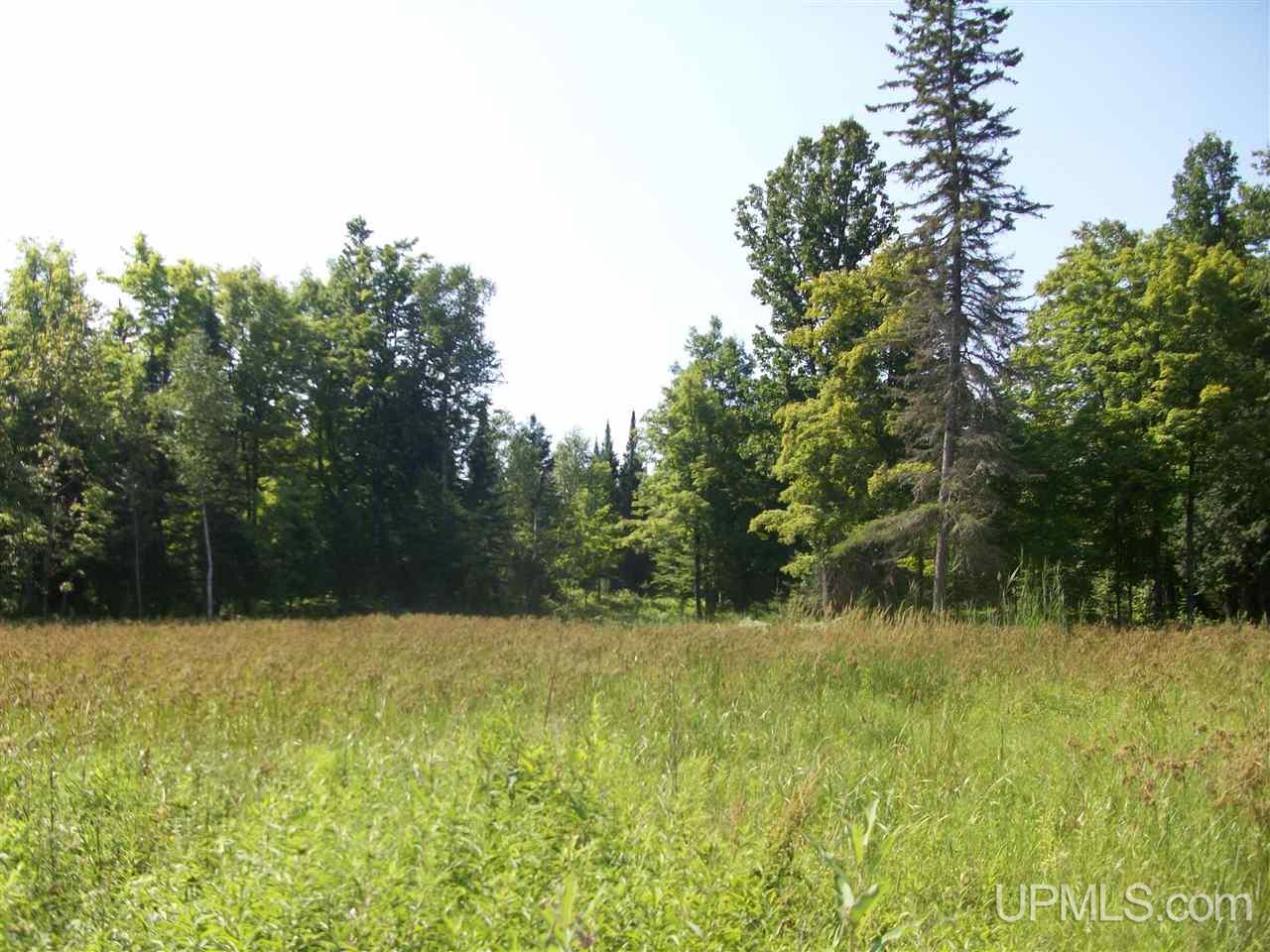 Tbd Off 32nd Road Rapid River, MI 49878 - Photo 6 of 6