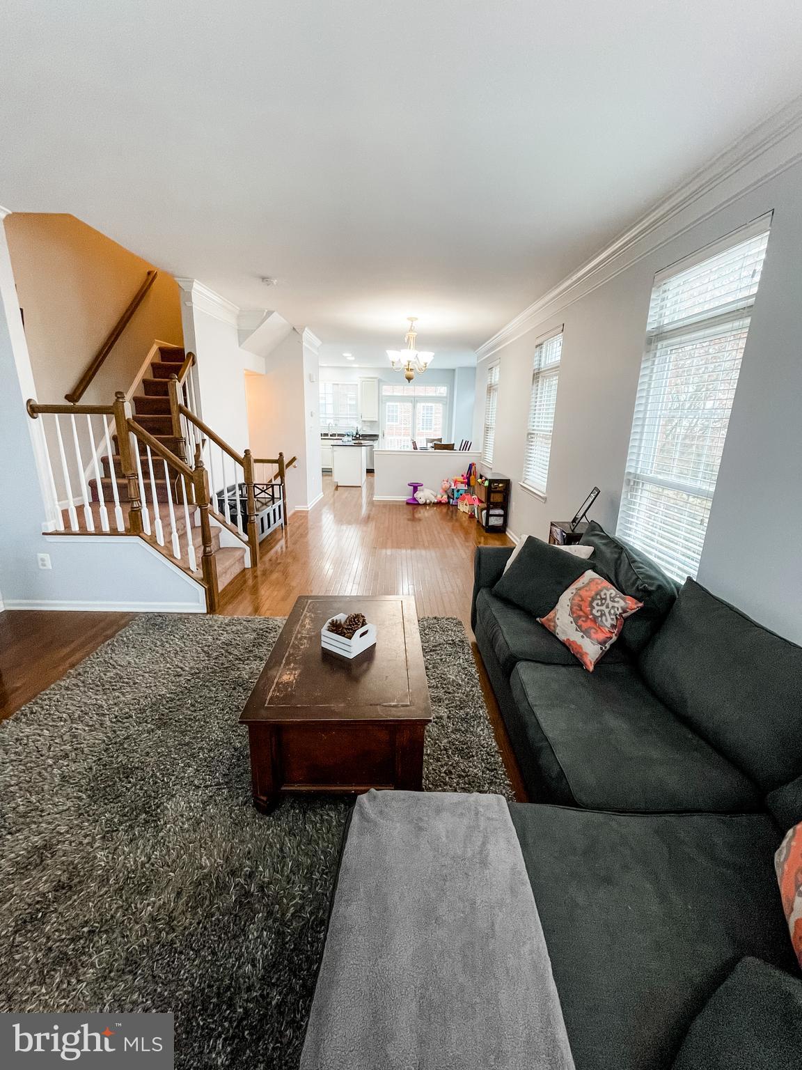 25121 Gunnery Square Chantilly, VA 20152 - Photo 11 of 29 Living Room