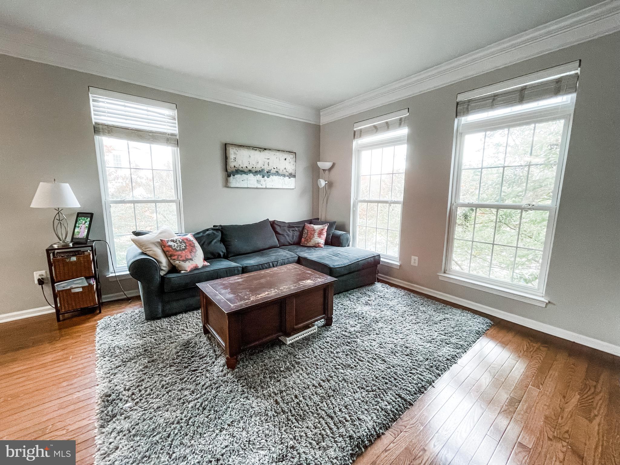25121 Gunnery Square Chantilly, VA 20152 - Photo 16 of 29 Living Room