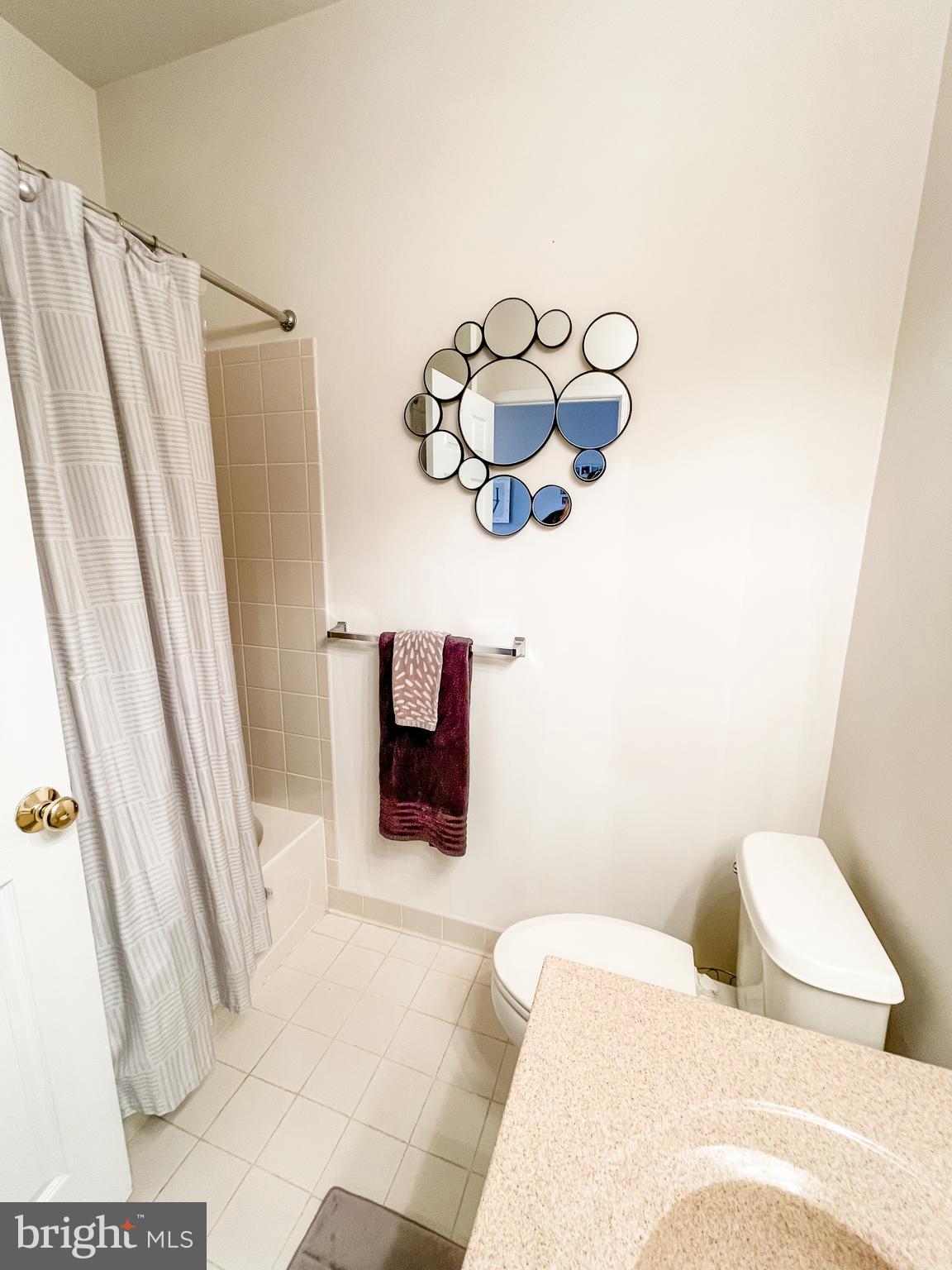 25121 Gunnery Square Chantilly, VA 20152 - Photo 9 of 29 Bathroom 1