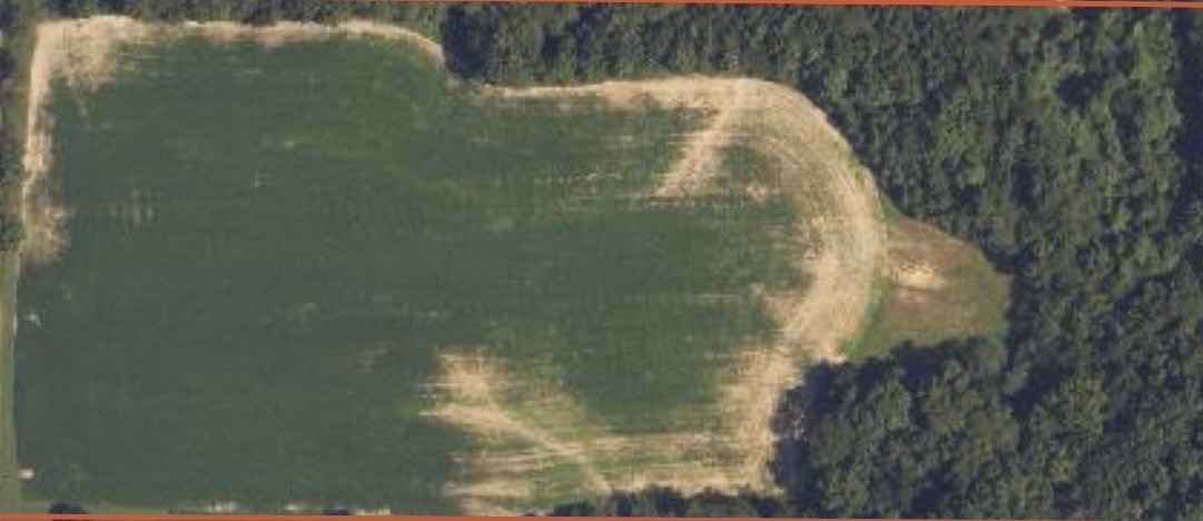 0 Landmark Road Iuka, IL 62849 - Photo 4 of 28