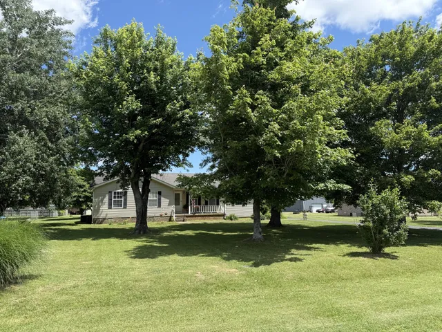 a garden view with a fountain
