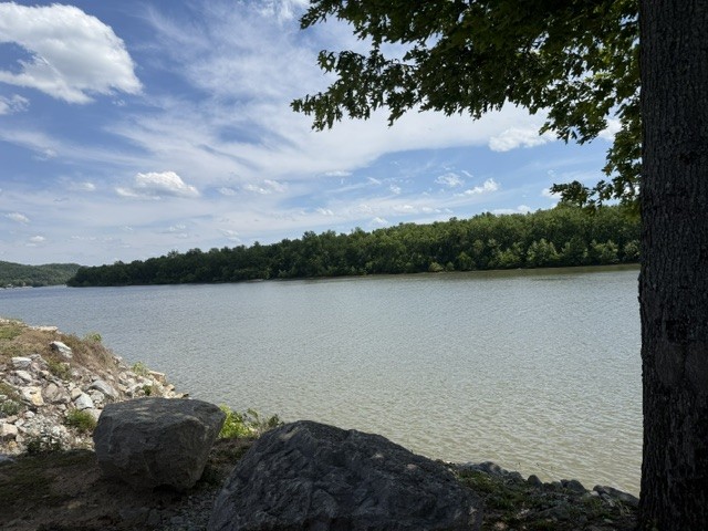 0 Wc Pickett Road Clifton, TN 38425 - Photo 8 of 12 Gallery Image 8