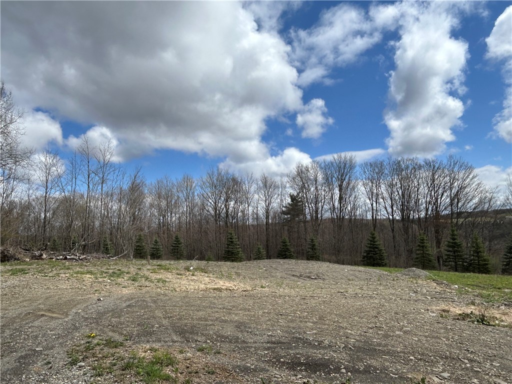 1318 Chambers Road Catlin, NY 14812 - Photo 11 of 28