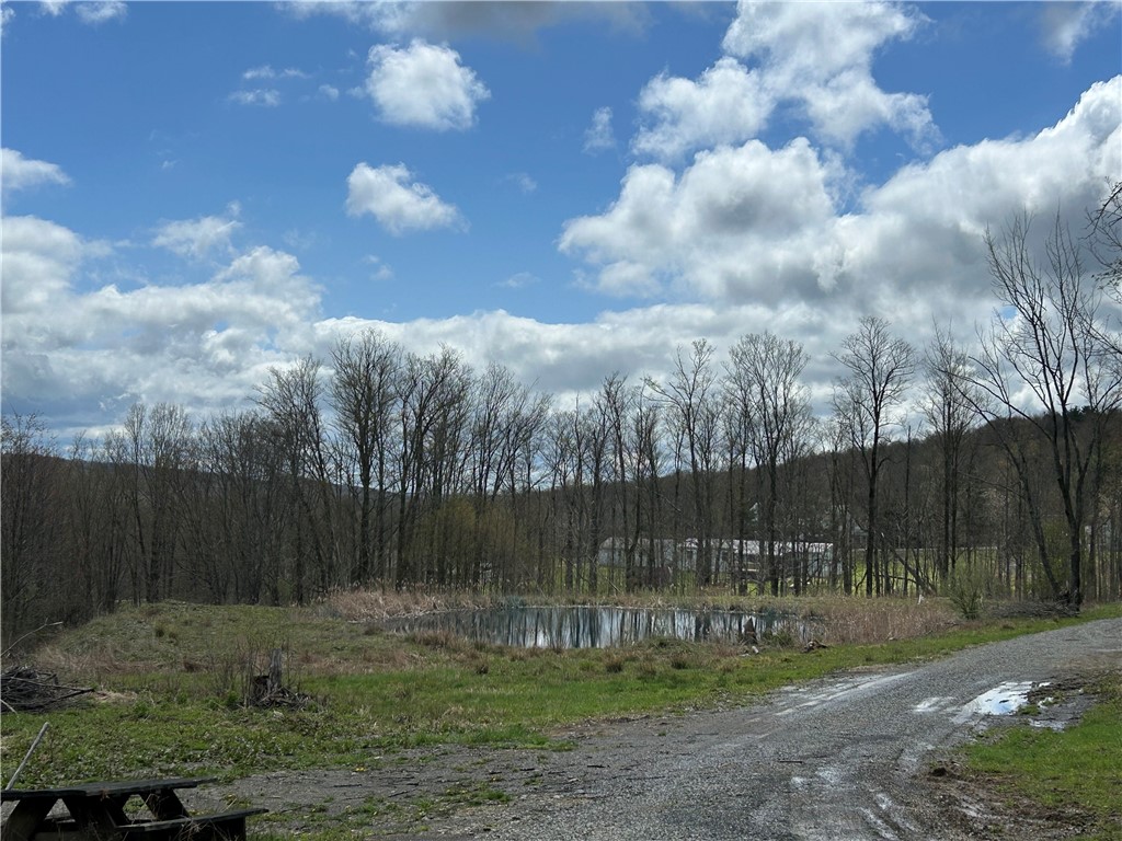 1318 Chambers Road Catlin, NY 14812 - Photo 13 of 28