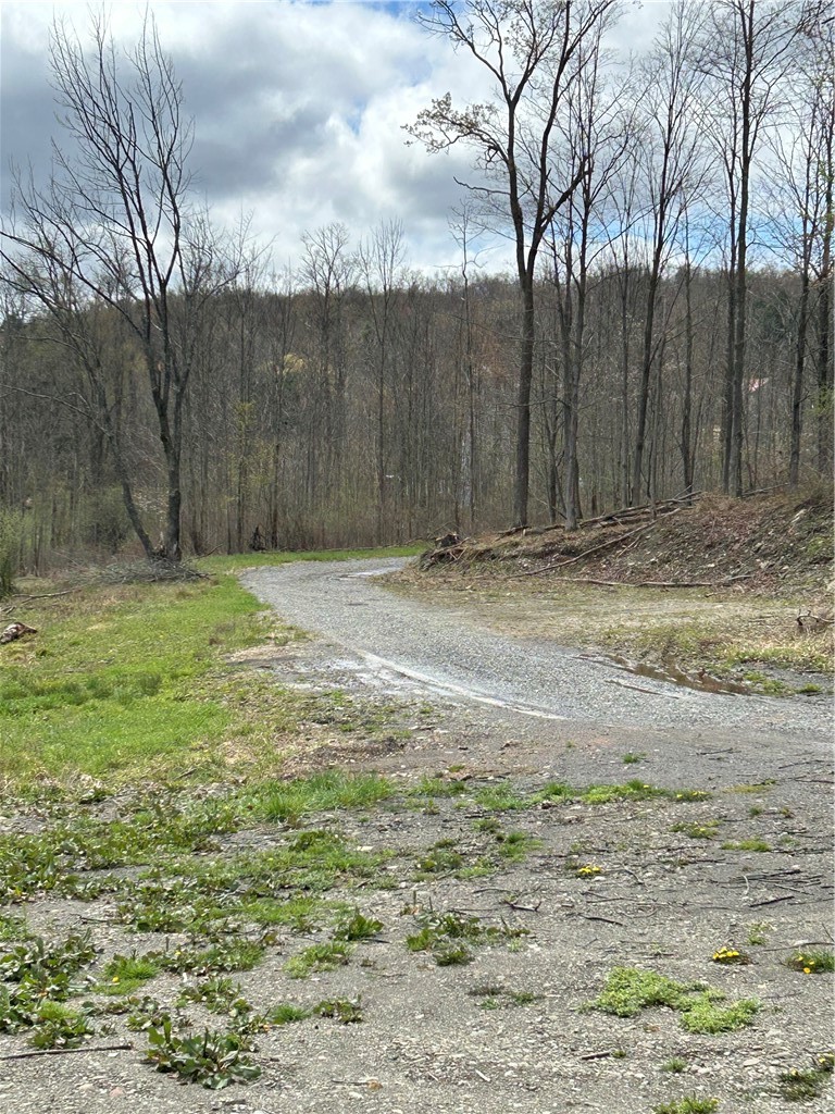1318 Chambers Road Catlin, NY 14812 - Photo 15 of 28