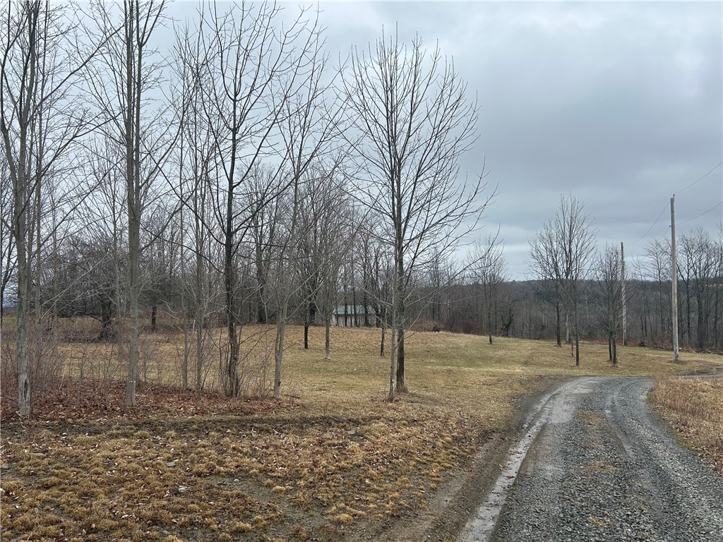 1318 Chambers Road Catlin, NY 14812 - Photo 4 of 28