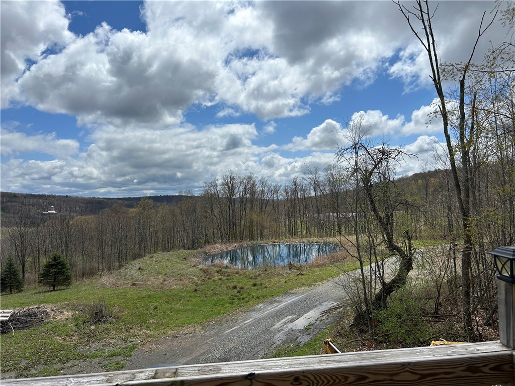 1318 Chambers Road Catlin, NY 14812 - Photo 5 of 28