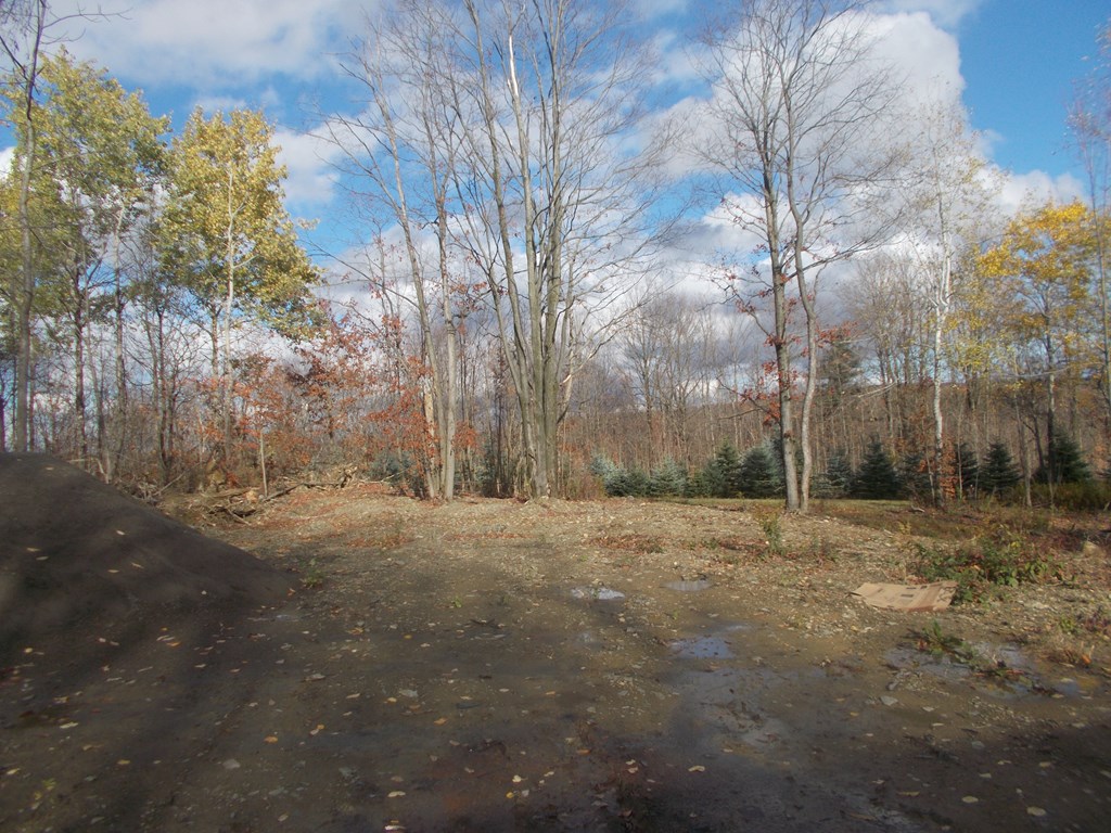 1318 Chambers Road Catlin, NY 14812 - Photo 6 of 28