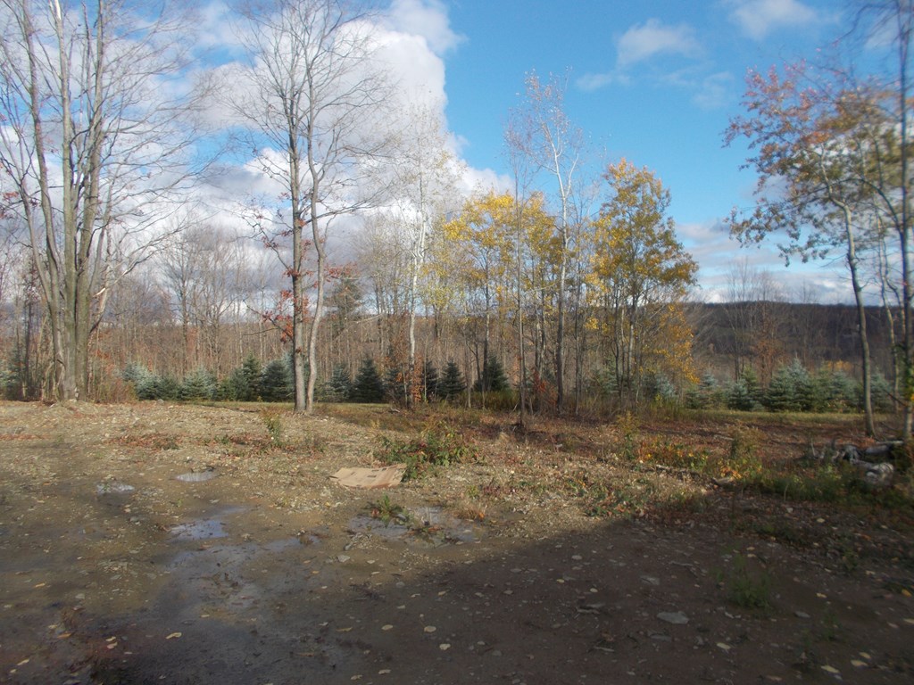 1318 Chambers Road Catlin, NY 14812 - Photo 7 of 28