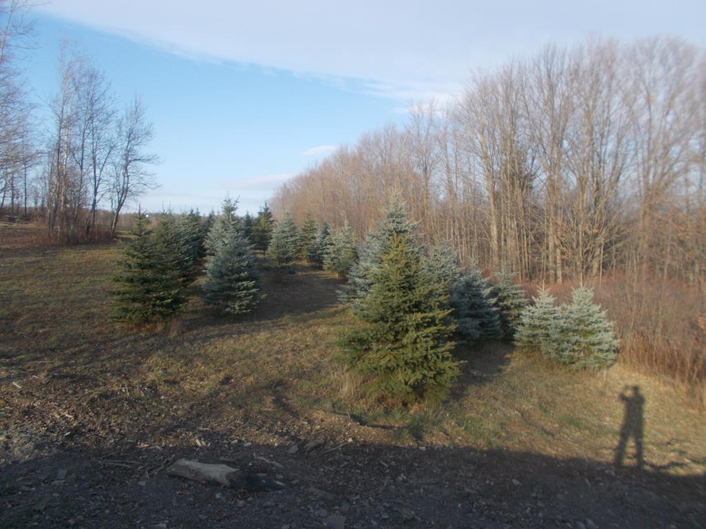1318 Chambers Road Catlin, NY 14812 - Photo 9 of 28