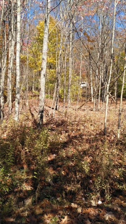 386 Catskirondack Road Deposit, NY 13754 - Photo 16 of 23 Gallery Image 16