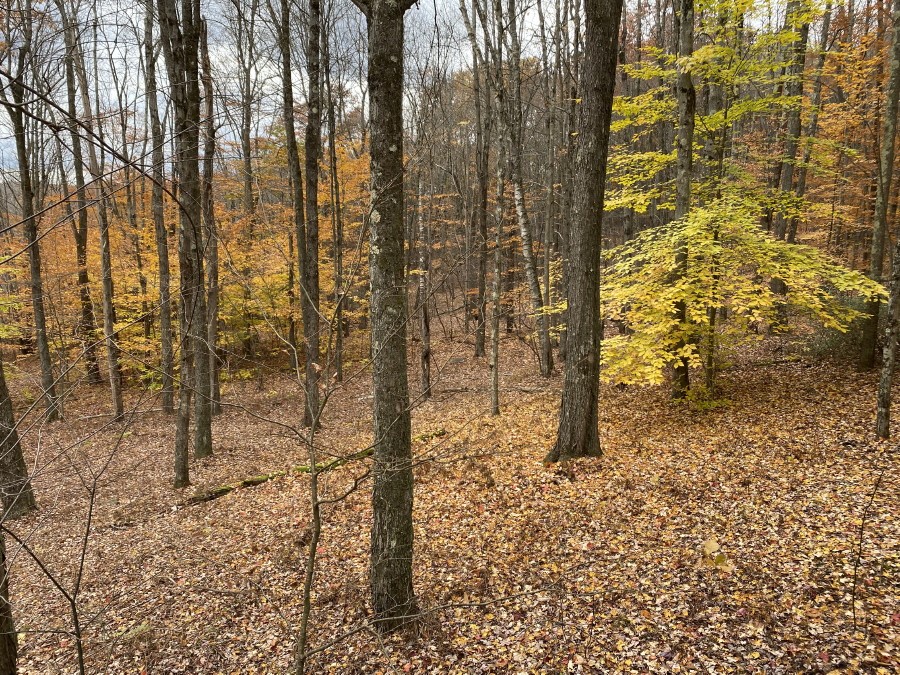 386 Catskirondack Road Deposit, NY 13754 - Photo 3 of 23 Gallery Image 3