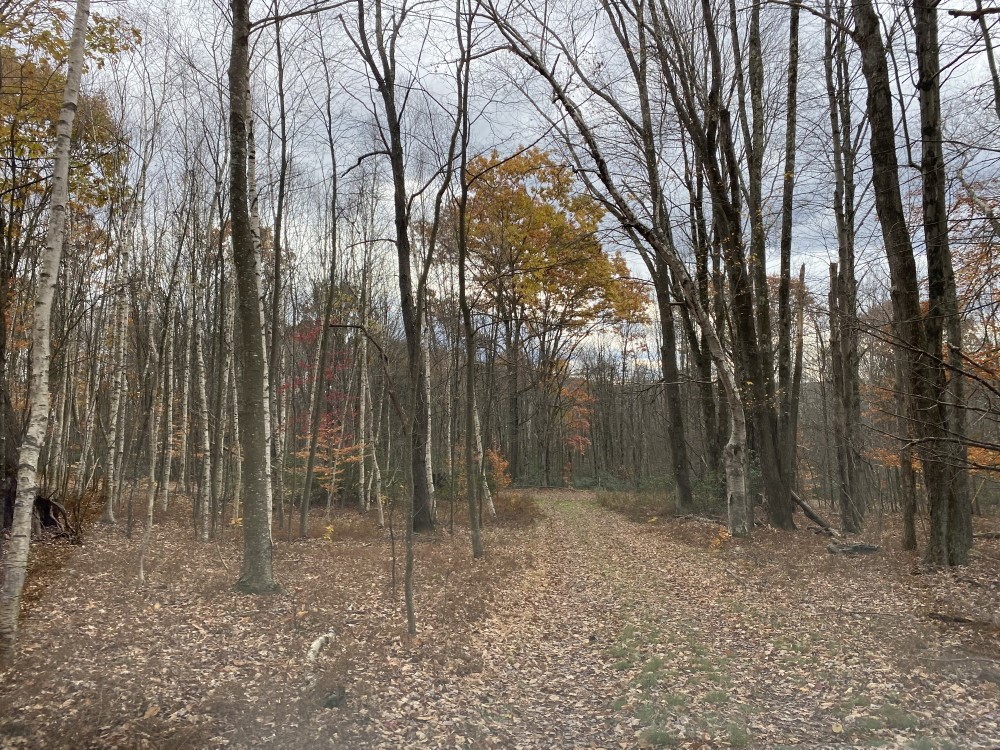 386 Catskirondack Road Deposit, NY 13754 - Photo 10 of 23 Gallery Image 10