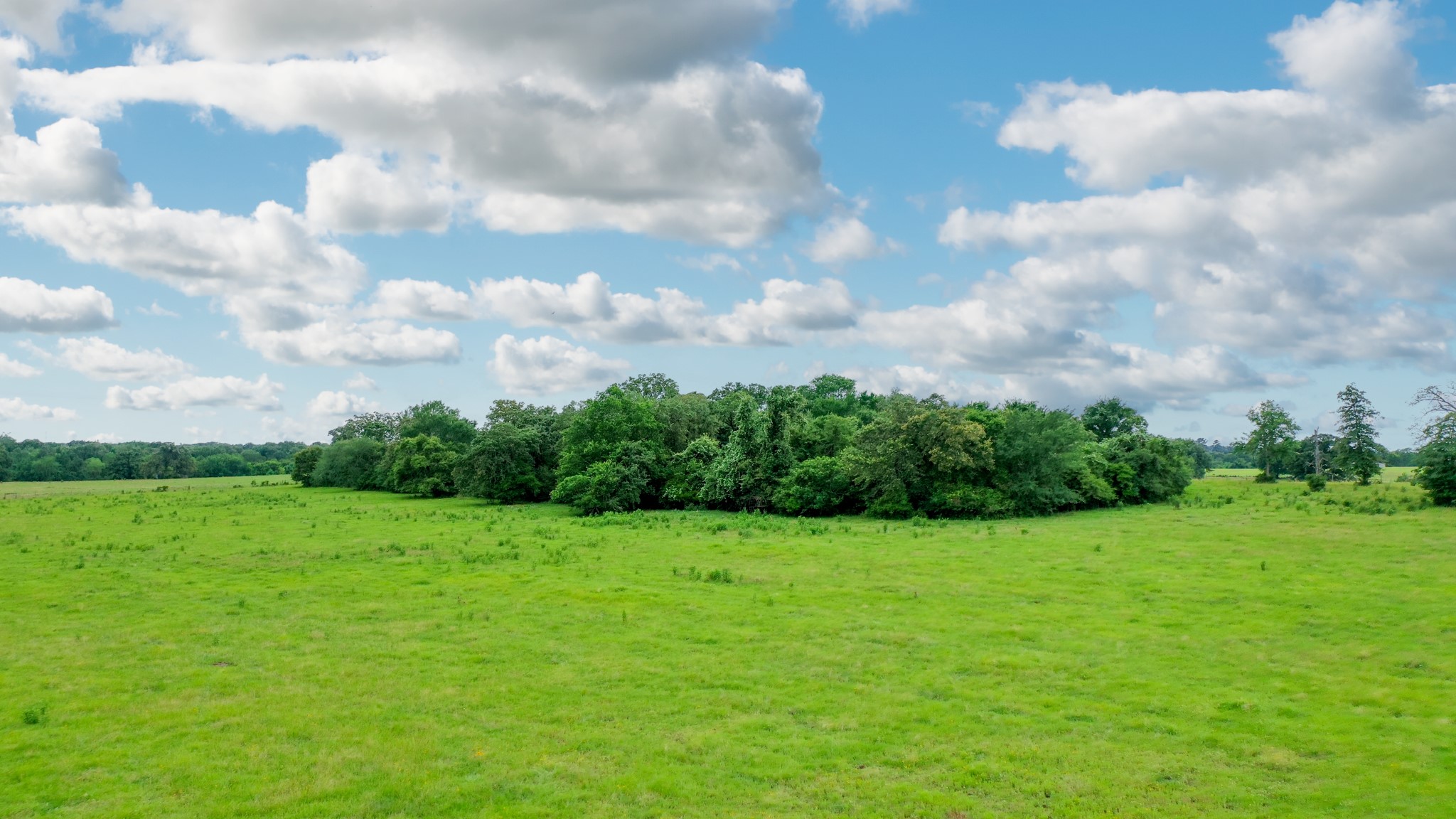 0 Pleasant Grove Road Iola, TX 77861 - Photo 16 of 18 a view of a grassy field