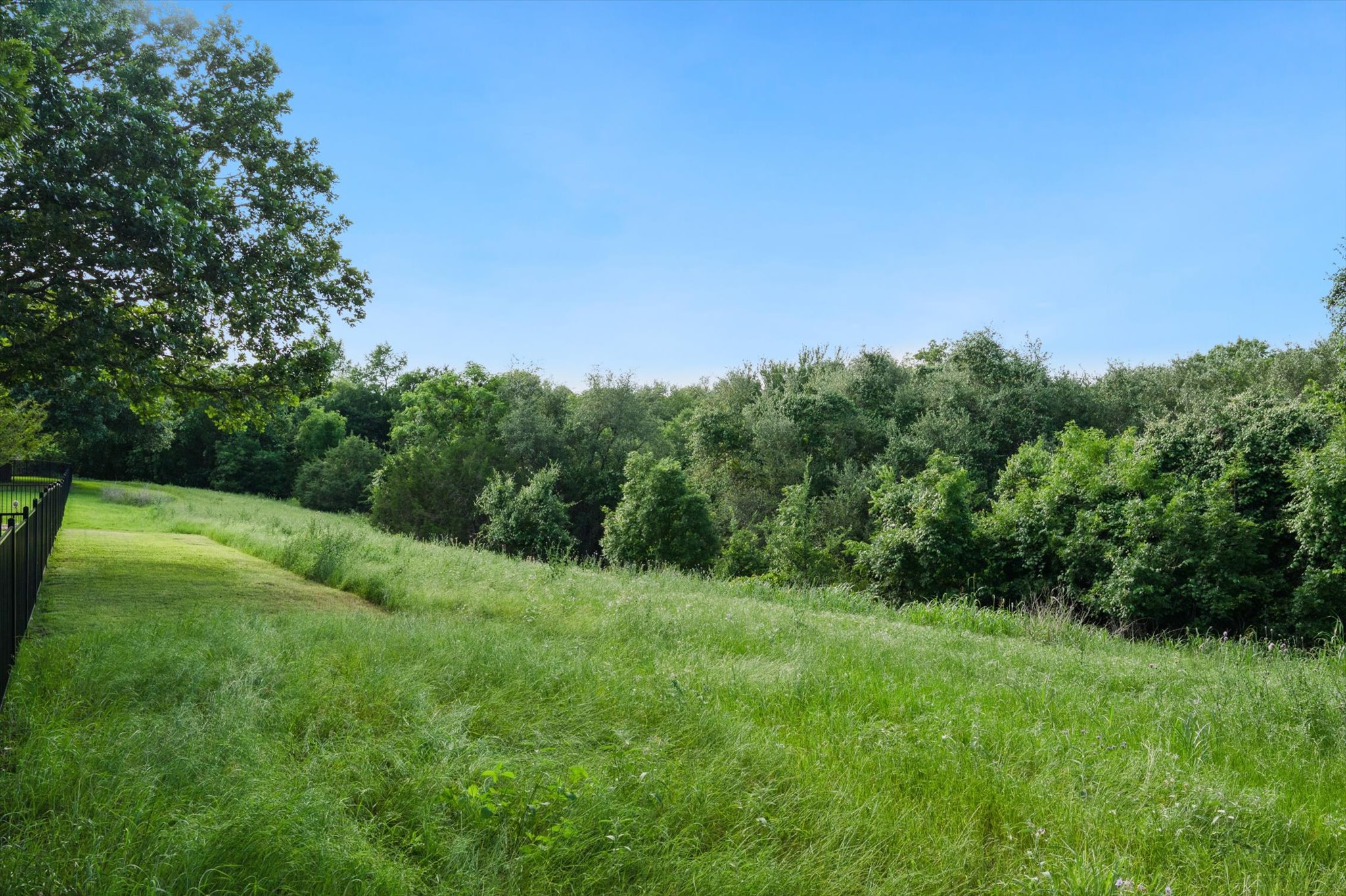126 Trail Rider Way Georgetown, TX 78633 - Photo 26 of 30 a view of a grassy field with trees in the background