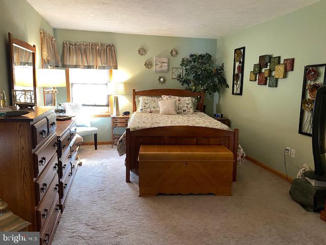 3285 Bullfrog Road Taneytown, MD 21787 - Photo 20 of 49