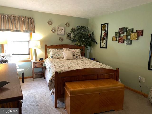 3285 Bullfrog Road Taneytown, MD 21787 - Photo 21 of 49