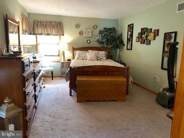 3285 Bullfrog Road Taneytown, MD 21787 - Photo 23 of 49
