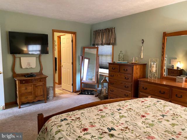 3285 Bullfrog Road Taneytown, MD 21787 - Photo 25 of 49