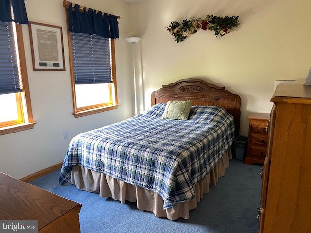 3285 Bullfrog Road Taneytown, MD 21787 - Photo 27 of 49