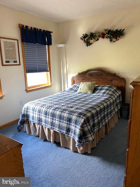 3285 Bullfrog Road Taneytown, MD 21787 - Photo 28 of 49