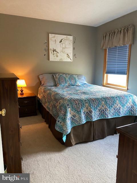 3285 Bullfrog Road Taneytown, MD 21787 - Photo 31 of 49