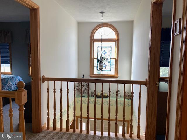3285 Bullfrog Road Taneytown, MD 21787 - Photo 34 of 49