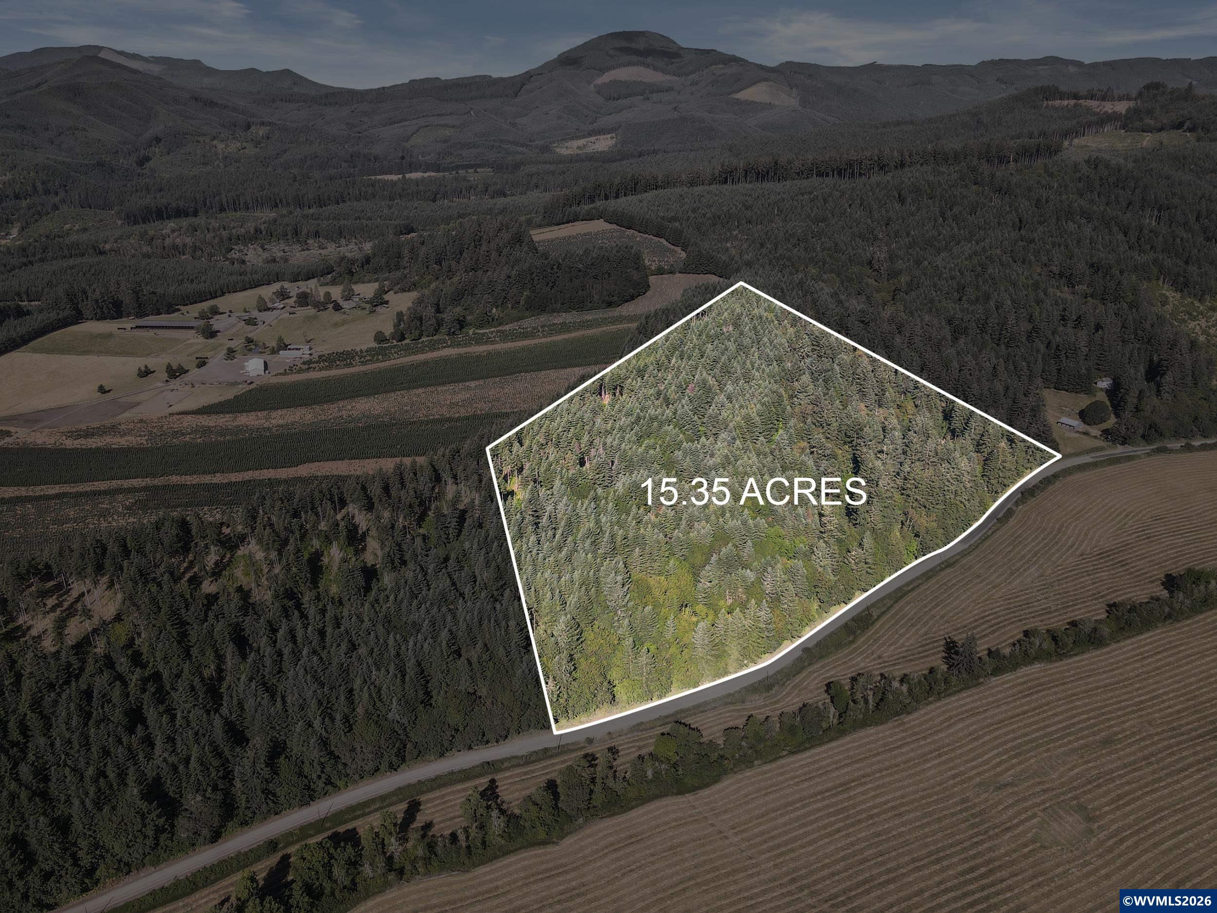 27020 Reese Creek Road Monroe, OR 97456 - Photo 1 of 50 Gallery Image 1