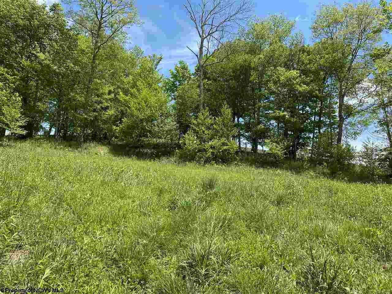 Flat Flat Ridge Davis, WV 26260 - Photo 9 of 11 Gallery Image 9