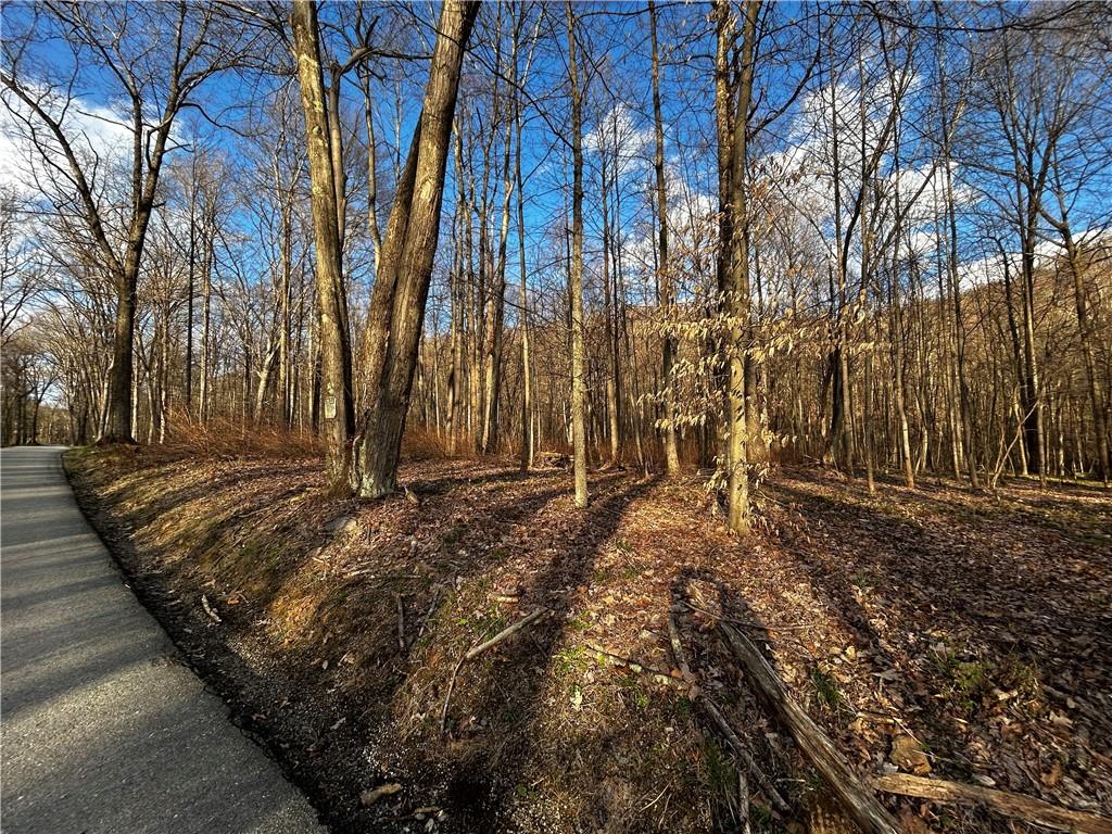 572 Austraw Road Ligonier, PA 15658 - Photo 1 of 2 a view of a backyard with large trees