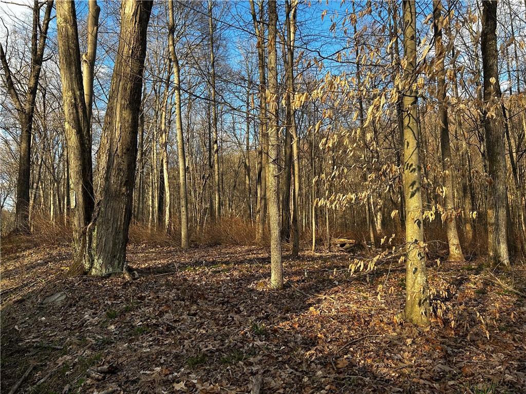 572 Austraw Road Ligonier, PA 15658 - Photo 2 of 2 a backyard of a house with lots of green space